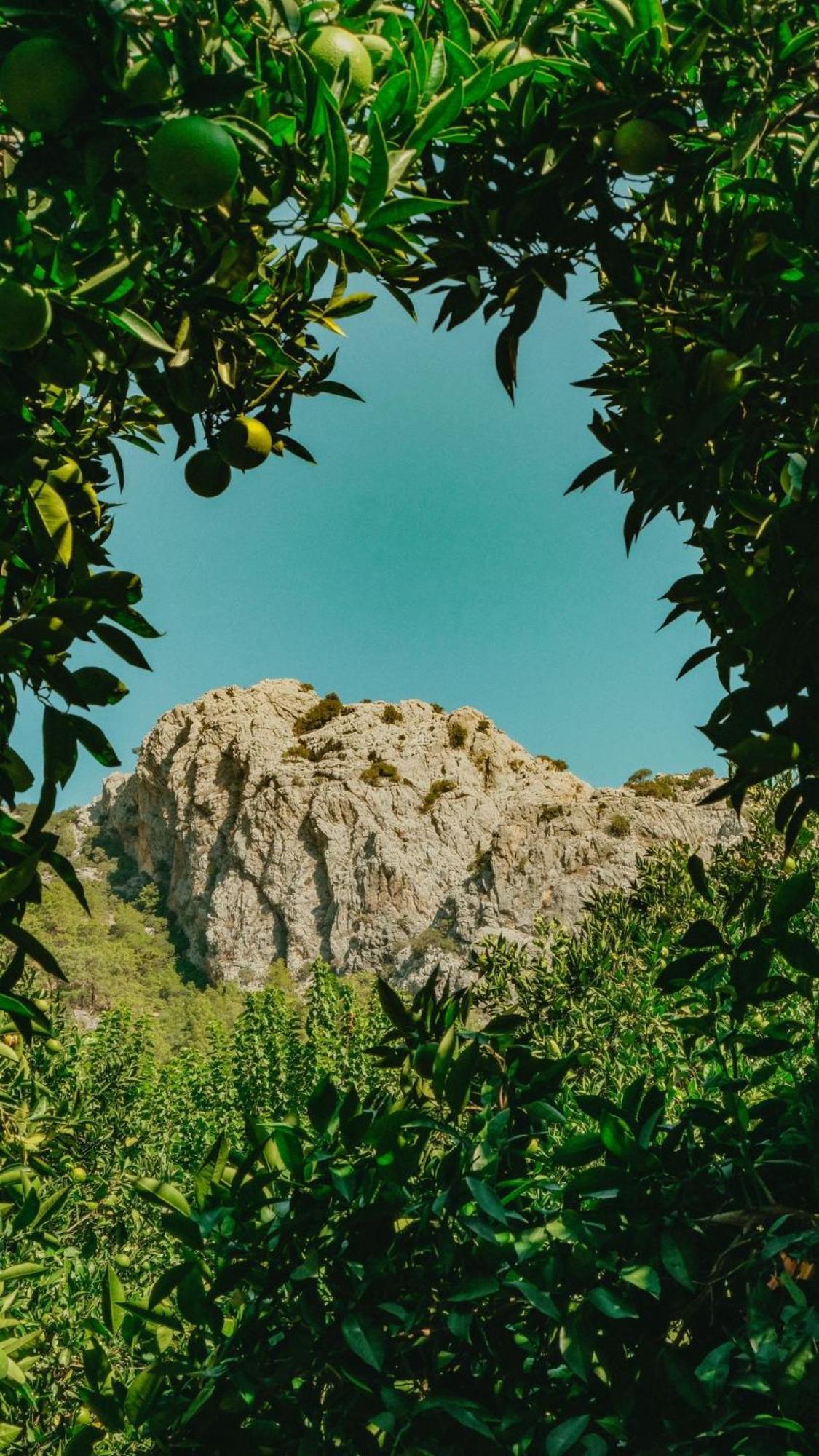 Sheriff, Olympos Kumluca Exterior photo